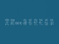 沈阳seo搜索优化培训_网站建设行业网站