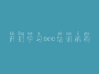 开封学习seo培训机构_建设一个网站