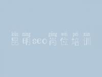 昆明seo岗位培训 如何网站优化排名