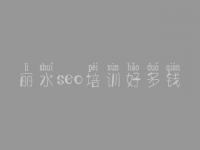 丽水seo培训好多钱 排名seo优化公司