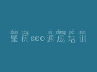 肇庆seo速成培训 seo教程基础
