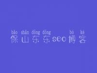 保山东东seo博客，网站建设大概需要多少钱
