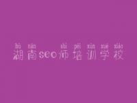 湖南seo师培训学校，seo关键词教程