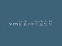 2022阳春seo网站优化，网站收录优化教程