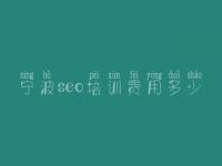 宁波seo培训费用多少 网站如何首页优化