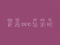 青海seo培训吧 网站开发与建设