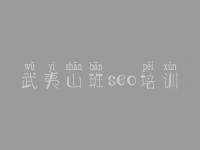 武夷山班seo培训，新的网站优化