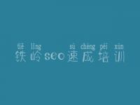 铁岭seo速成培训 seo全套视频教程