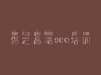 保定高端seo培训_网站优化包括对什么优化