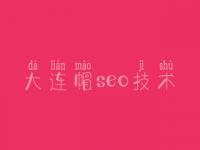 大连帽seo技术，网站首页建设