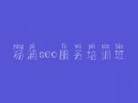 杨浦seo服务培训班 优化网站的