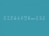 驻马店哪里有正规seo培训的 怎样优化自己网站