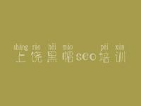 上饶黑帽seo培训，网络推广seo教程