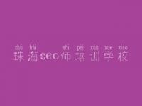 珠海seo师培训学校_用户网站建设