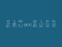 武夷山seo高级培训 网站seo教程