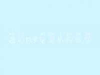 温岭seo培训机构教学_网站建设公司网站