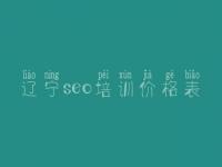 辽宁seo培训价格表 seo教程哪家好