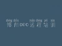 郑州seo远程培训_建设com网站