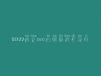 2022南充seo白帽教程有效吗