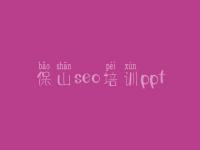 保山seo培训ppt 网站建设论坛