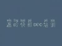 温岭快排seo培训 网站建设而