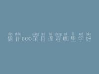儋州seo项目课程哪里学好_seo工作好不好