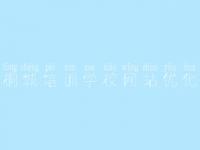 桐城培训学校网站优化，网站优化怎么样比较好