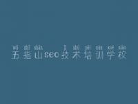 五指山seo技术培训学校 企业的网站建设