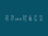 保亭seo短期培训，seo教程谁的好