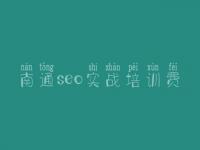 南通seo实战培训费 网站优化需求