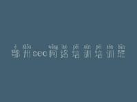 鄂州seo网络培训培训班 企业seo优化