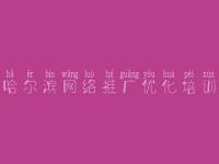 哈尔滨网络推广优化培训 国内网站建设