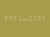 平凉学习seo培训什么 seo教程推荐