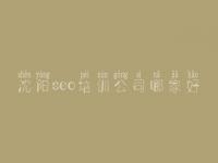 沈阳seo培训公司哪家好 seo关键字优化工具