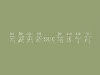 芜湖免费seo培训学费_优化培训教程