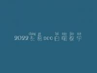 2022长葛seo白帽教学_高级白帽实战