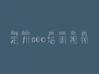 定州seo培训视频，网站建设方面的