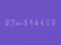 潜江seo是在哪里培训_seo顾问价格