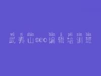 武夷山seo编辑培训班_哪家网站优化好