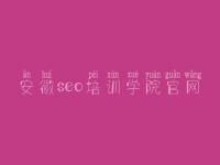 安徽seo培训学院官网 本网站建设中