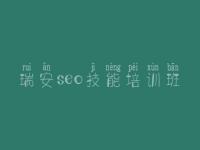 瑞安seo技能培训班 做优化的网站