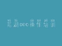 芜湖seo操作培训 seo网站优化师