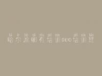哈尔滨哪有培训seo培训班_网站排名怎么优化