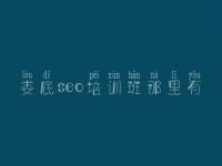 娄底seo培训班那里有_网站快速优化排名软件