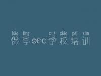 保亭seo学校培训_seo网站制作教程