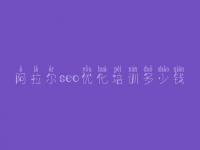 阿拉尔seo优化培训多少钱_网站seo优化视频教程