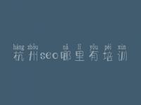杭州seo哪里有培训_定制网站建设