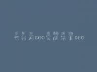七台河seo实战培训seo 专用网站建设