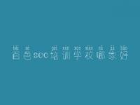 百色seo培训学校哪家好，seo教程学习