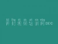 开封视频培训网seo，网站优化免费教程